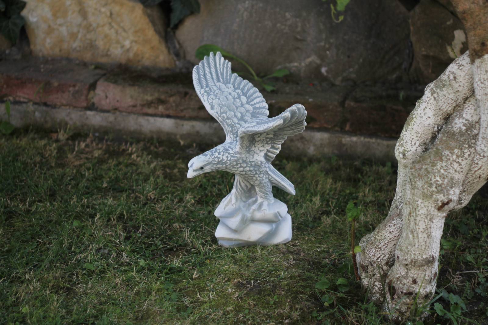 Орел крилатий