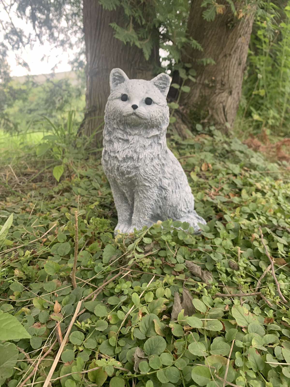 Котик пухнастий