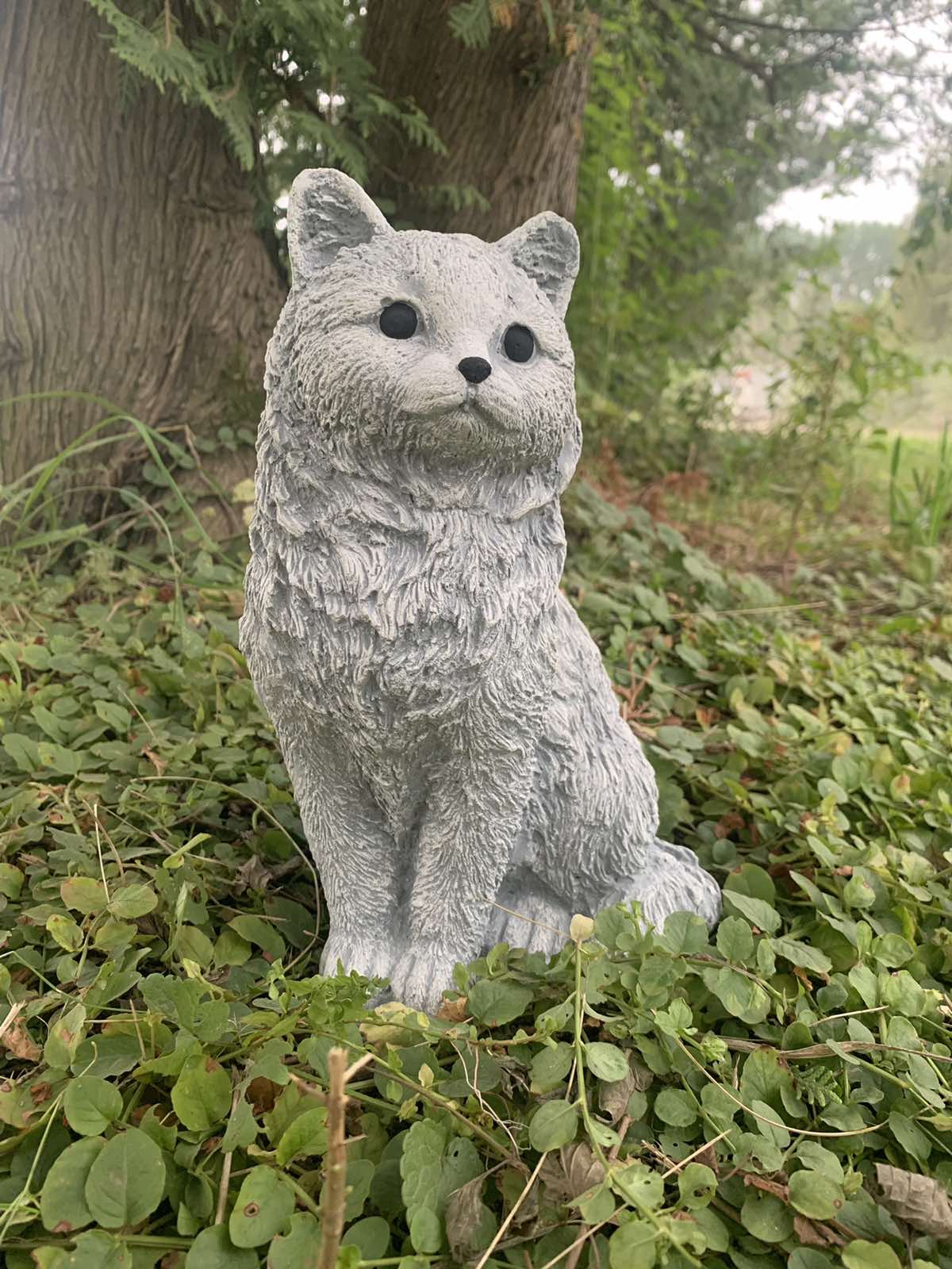Котик пухнастий
