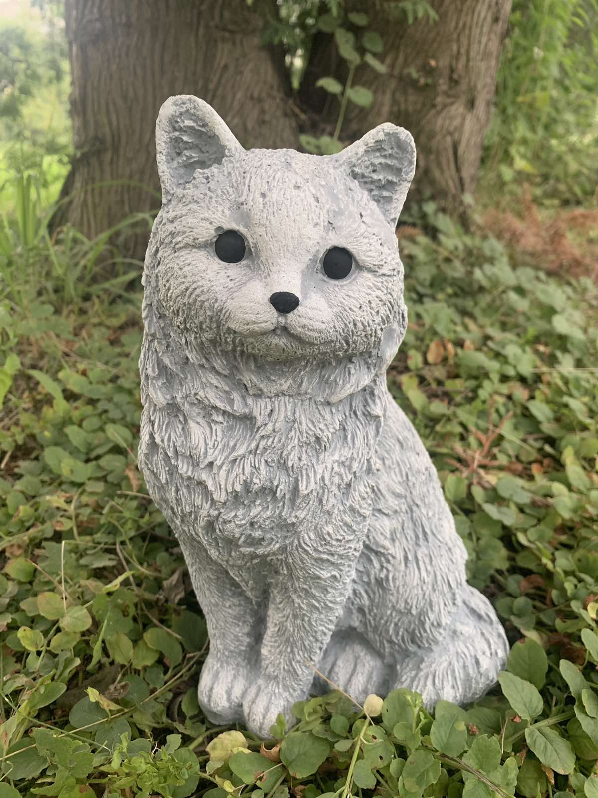 Котик пухнастий