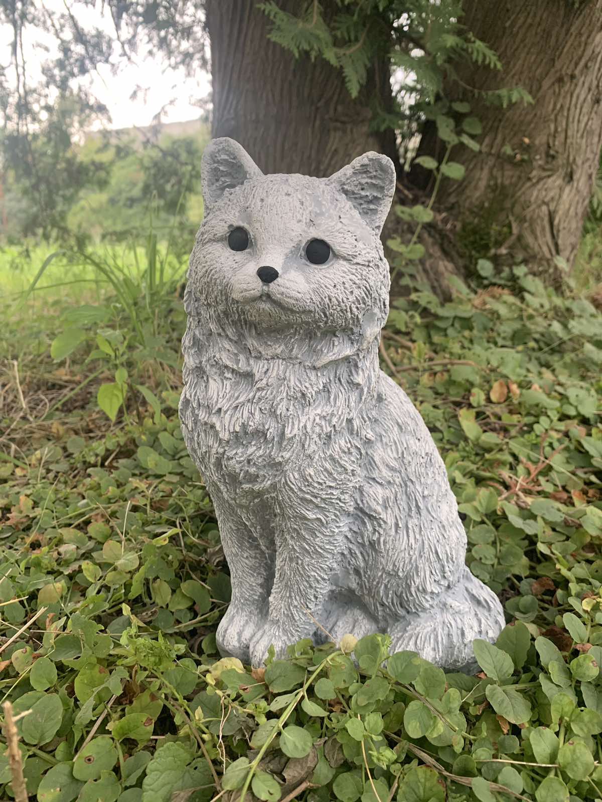 Котик пухнастий