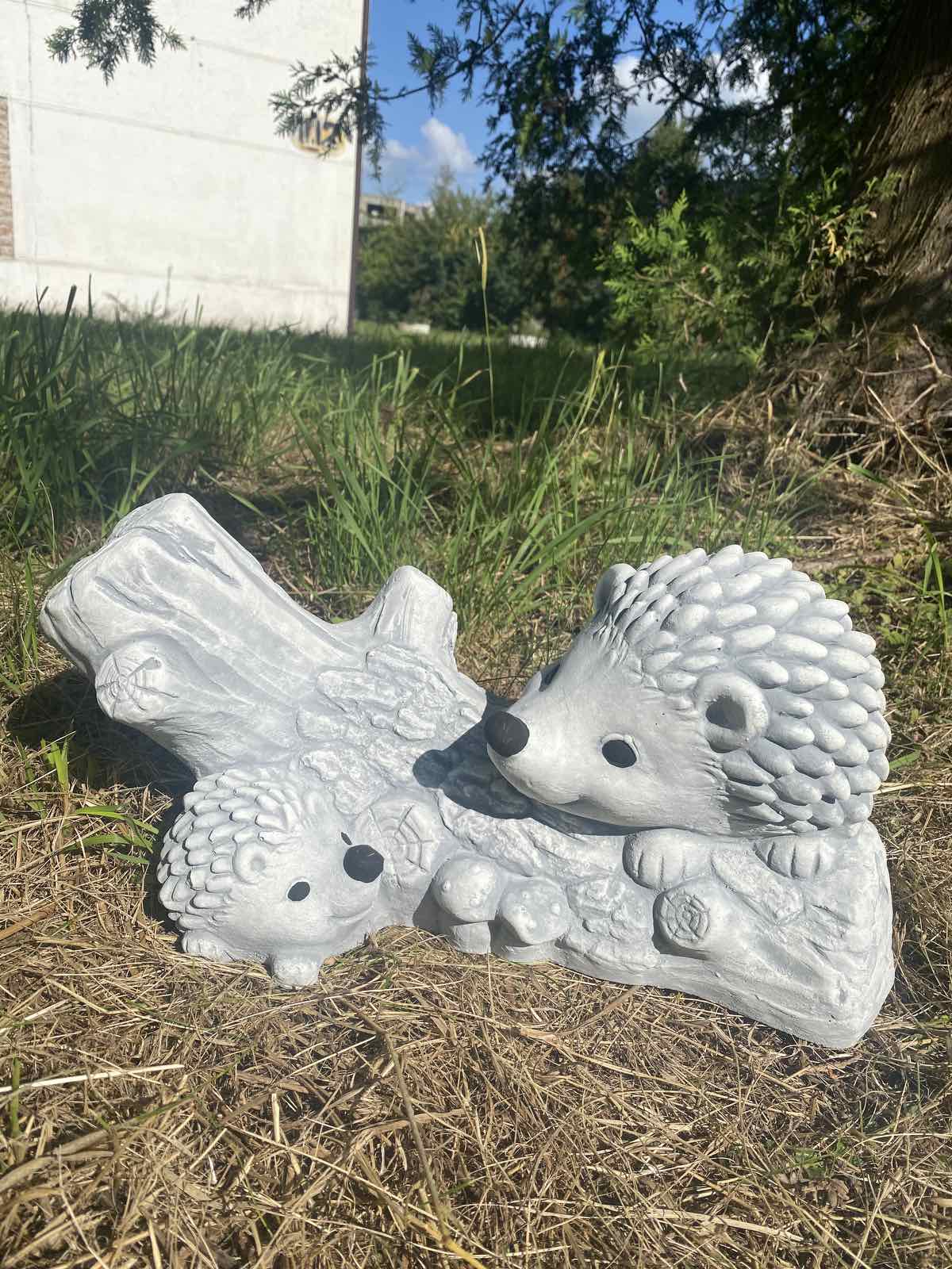 Пара їжаків