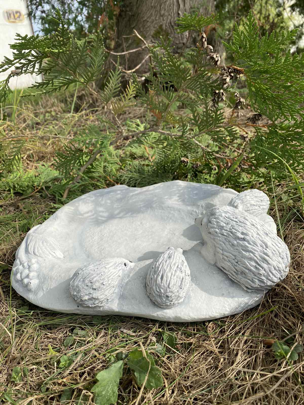Поїлка Їжаки
